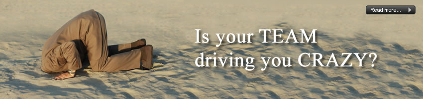 Is your TEAM driving you CRAZY?