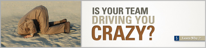 Is your TEAM driving you CRAZY?